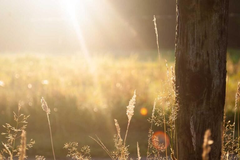How Much Compensation Could You Receive From the Church of England Redress Scheme?
